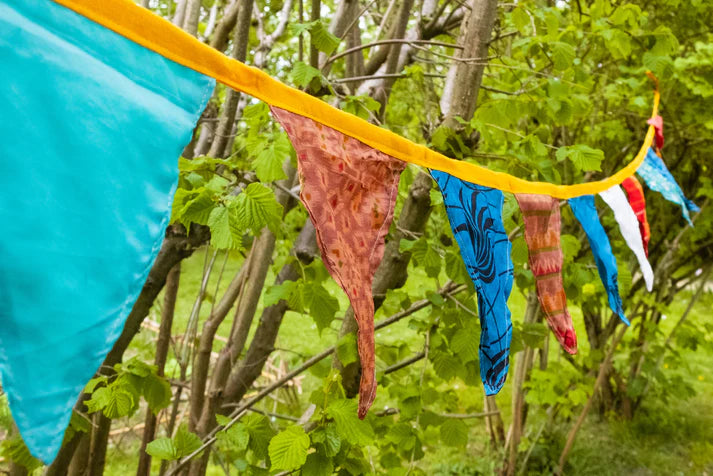 Vibrant Flags Garland